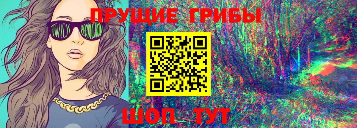 Псилоцибиновые грибы Cubensis Озёрск